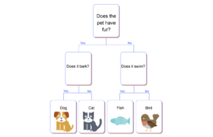 data bias lesson plan